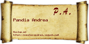 Pandia Andrea névjegykártya